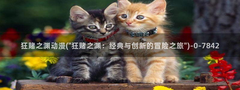 h动漫在线观看