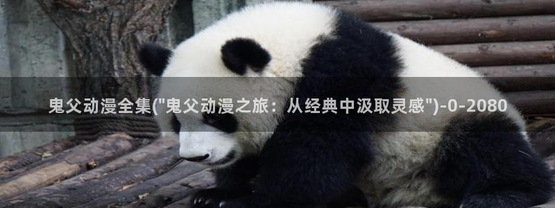 斗罗大陆动漫