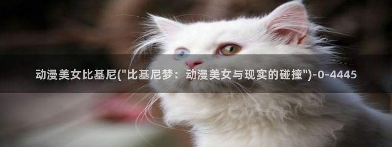 斗罗大陆动漫