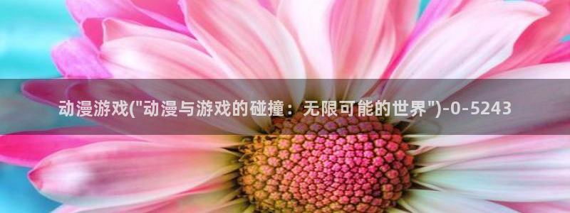 布丁动漫