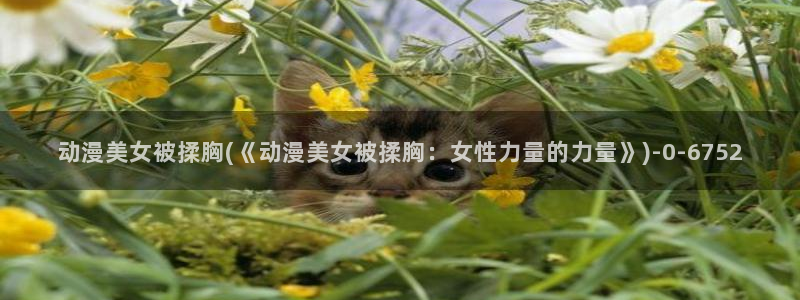 二次元动漫人物图片