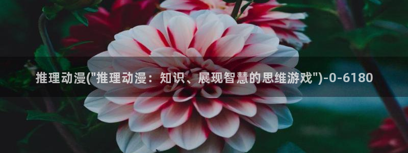 h动漫在线：推理动漫(\