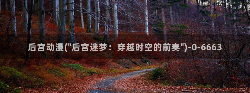 海贼王动漫