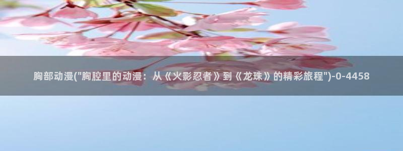 好看的国产动漫