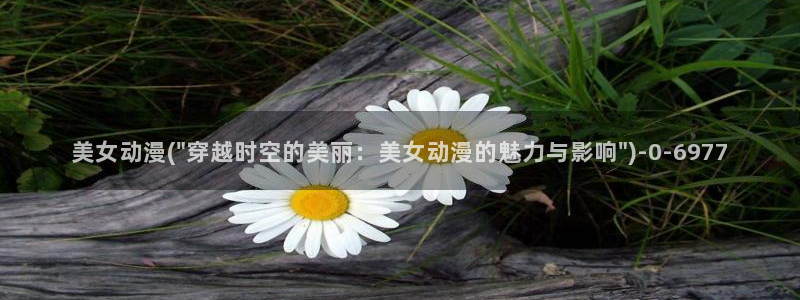 动漫解说：美女动漫(\