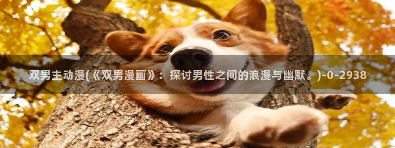 盗墓笔记动漫