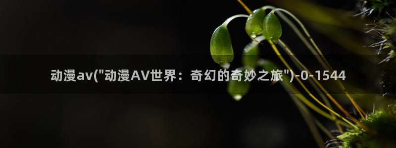 兜兜动漫